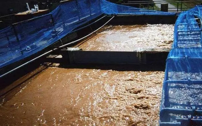 洗砂废水处理消泡剂应用场景