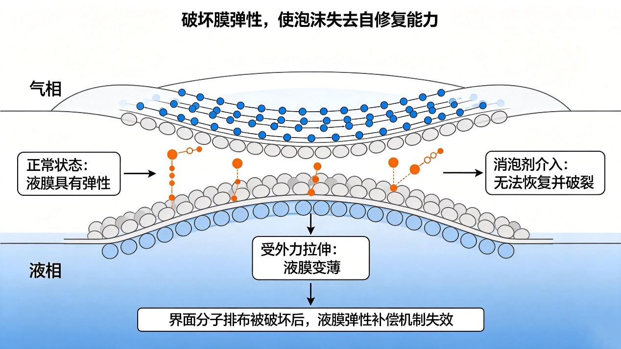 消泡剂作用机理:破坏膜弹性过程