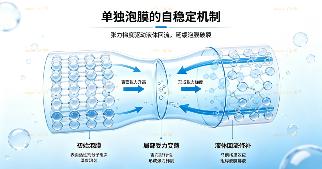 马朗格里效应泡膜自愈示意图