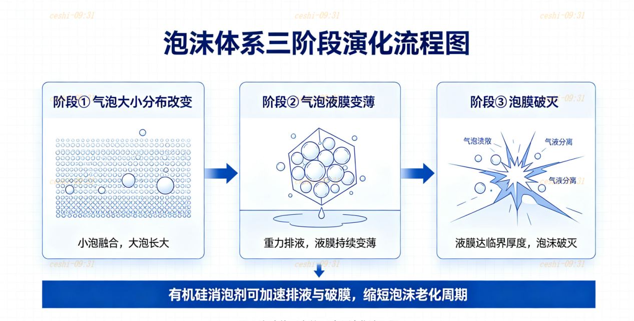 泡沫体系三阶段演化流程图