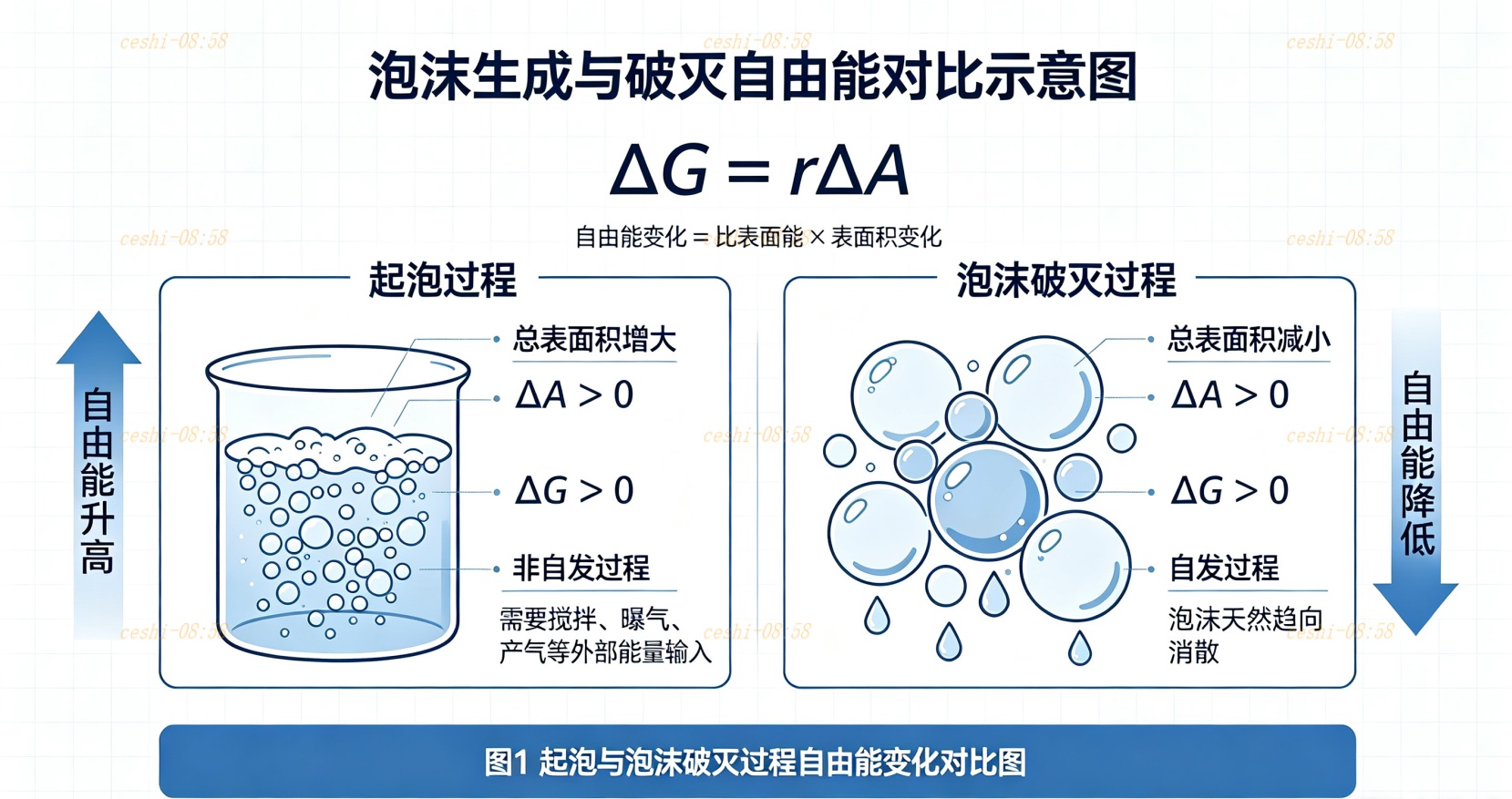 起泡与泡沫破灭过程自由能变化对比图